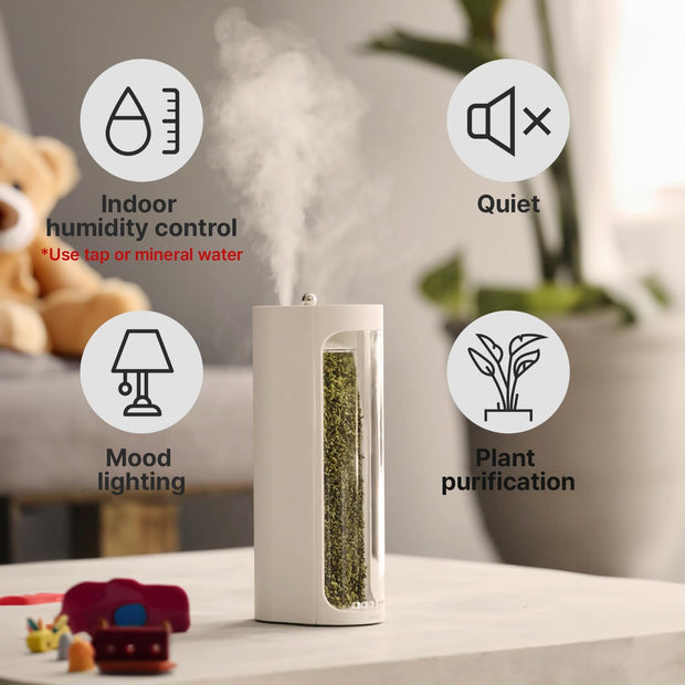 Live Moss Glass Container Humidifier – Natural Desktop Decoration & Air Moisturizer