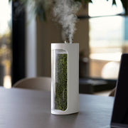 Live Moss Glass Container Humidifier – Natural Desktop Decoration & Air Moisturizer