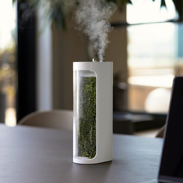 Live Moss Glass Container Humidifier – Natural Desktop Decoration & Air Moisturizer