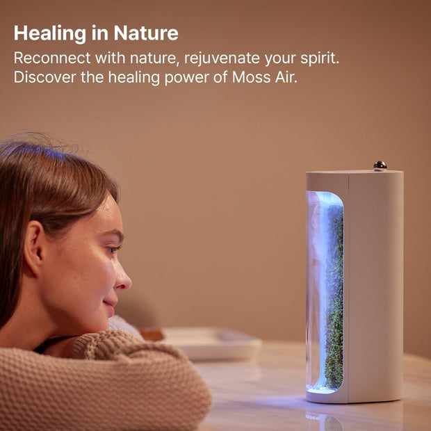 Live Moss Glass Container Humidifier – Natural Desktop Decoration & Air Moisturizer