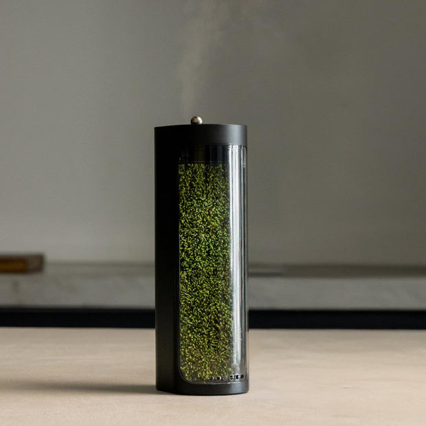 Live Moss Glass Container Humidifier – Natural Desktop Decoration & Air Moisturizer
