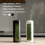Live Moss Glass Container Humidifier – Natural Desktop Decoration & Air Moisturizer